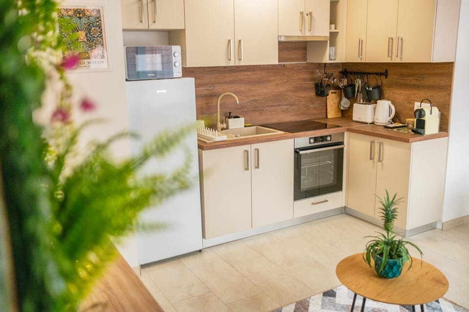Coffee/tea facilities, Kitchen or kitchenette, oven, toaster