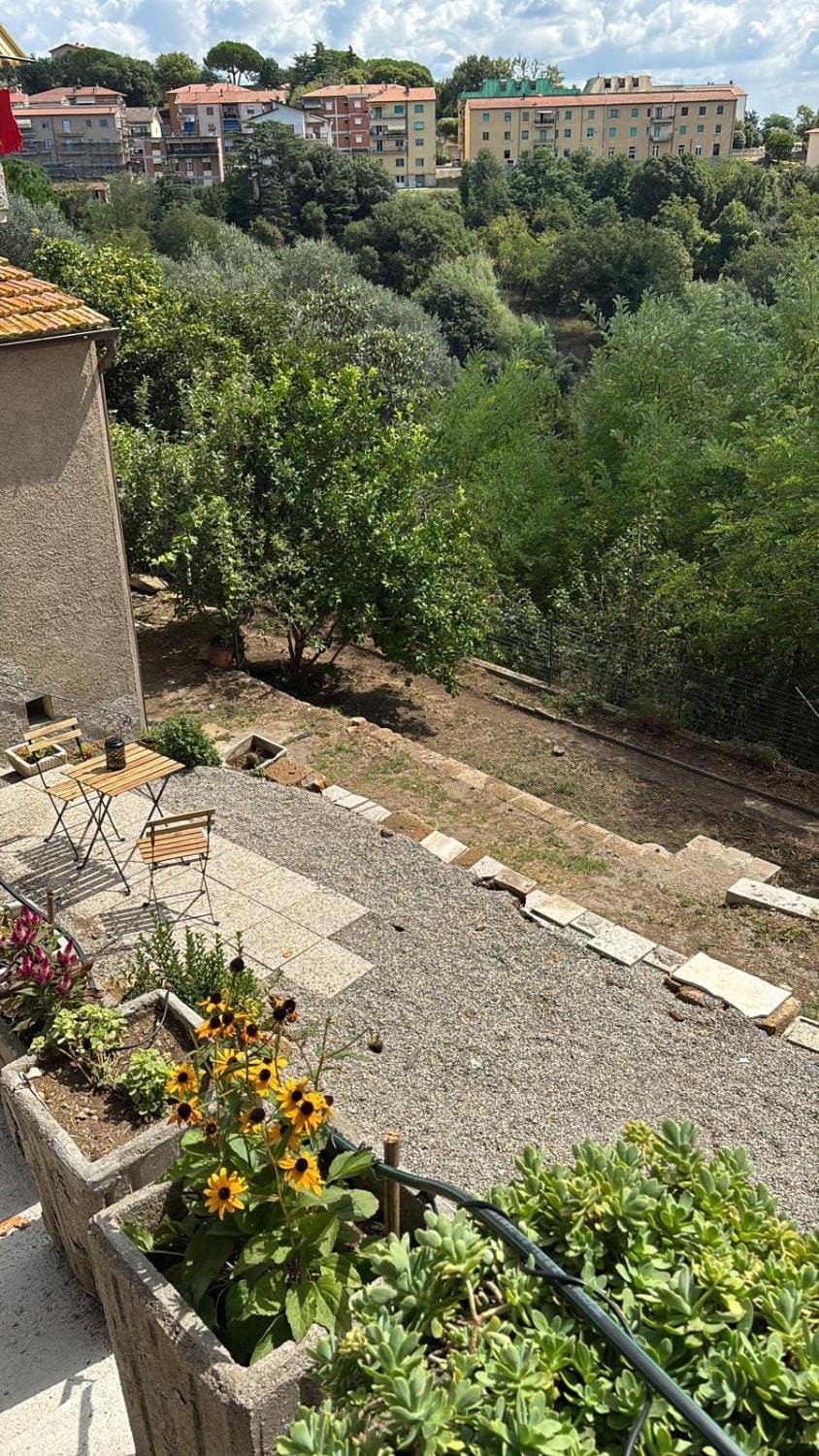 Natural landscape, Garden