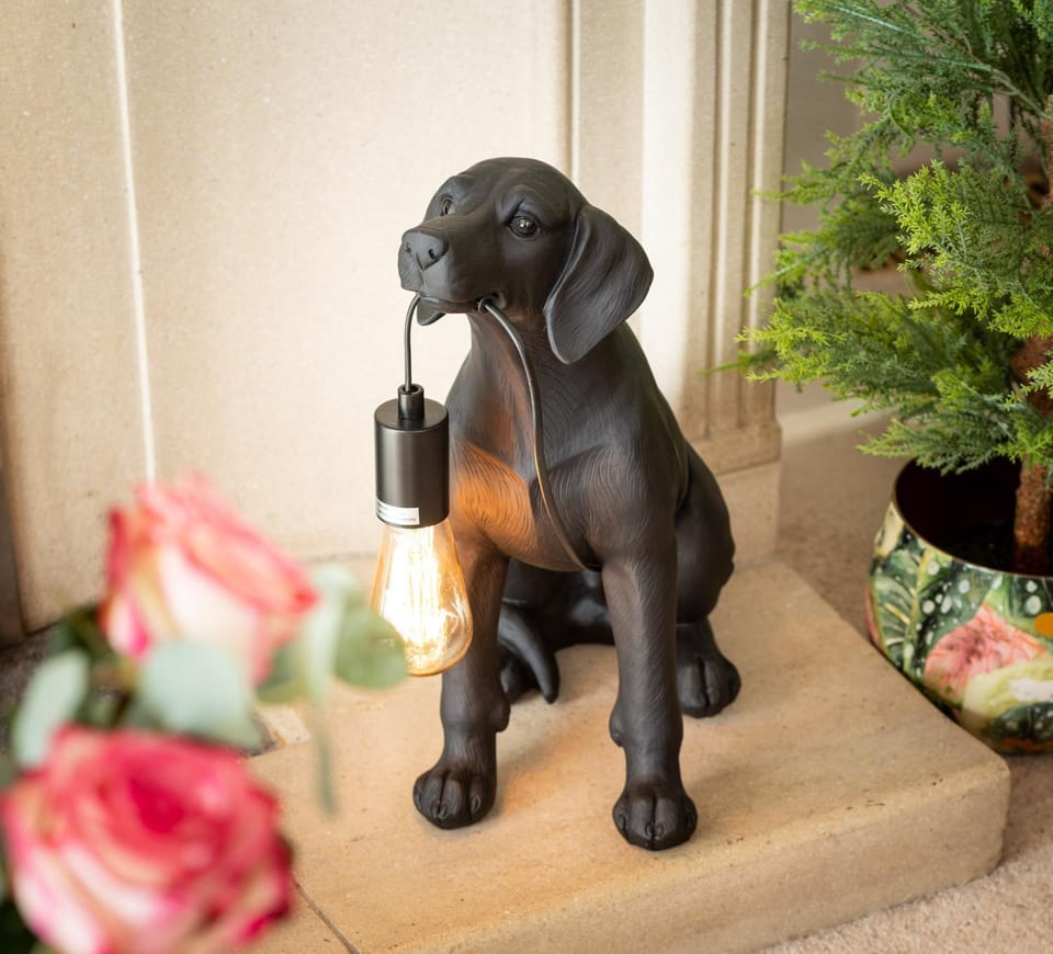 NEW Luxury Beachfront House sleeps 8 Exmouth Devon House in Exmouth