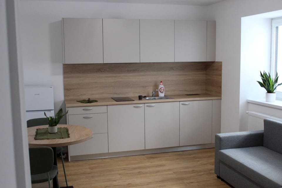Kitchen or kitchenette, Living room, Dining area