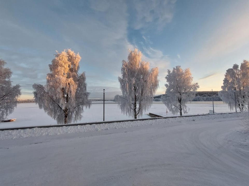 Day, Winter