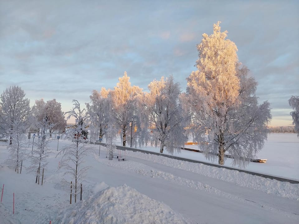 Day, Winter