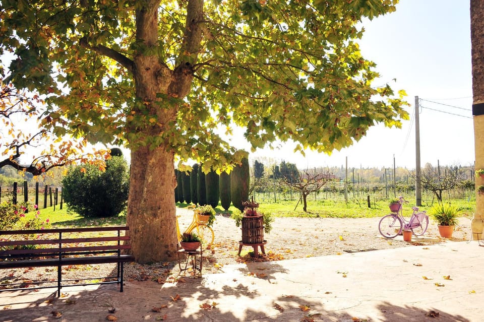 Agriturismo Corte Bonetti Farm Stay in Veneto