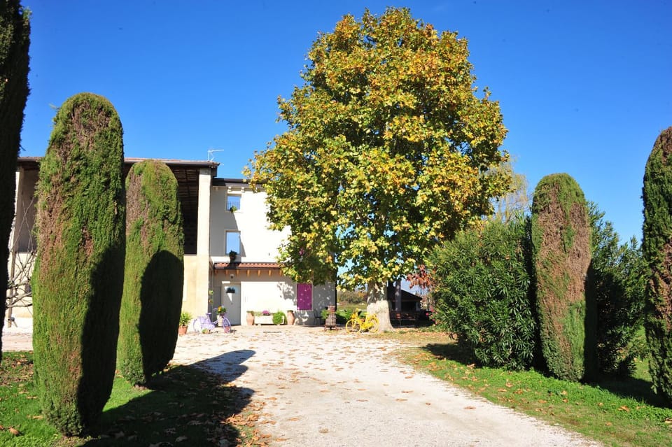 Agriturismo Corte Bonetti Farm Stay in Veneto