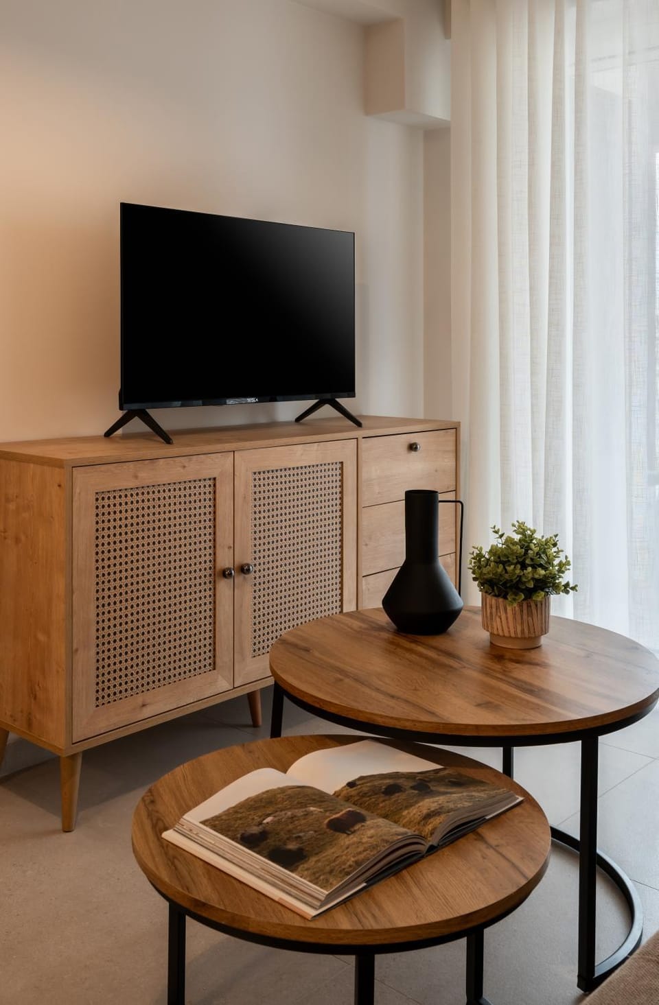 TV and multimedia