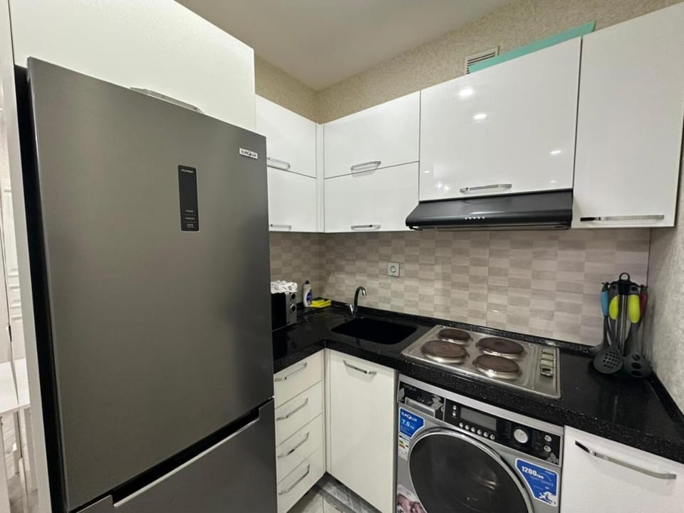 Kitchen or kitchenette, dishwasher, minibar, oven, stove, washing machine