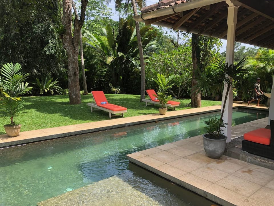 Day, Natural landscape, Garden, Garden, Garden view, Swimming pool, Swimming pool, sunbed