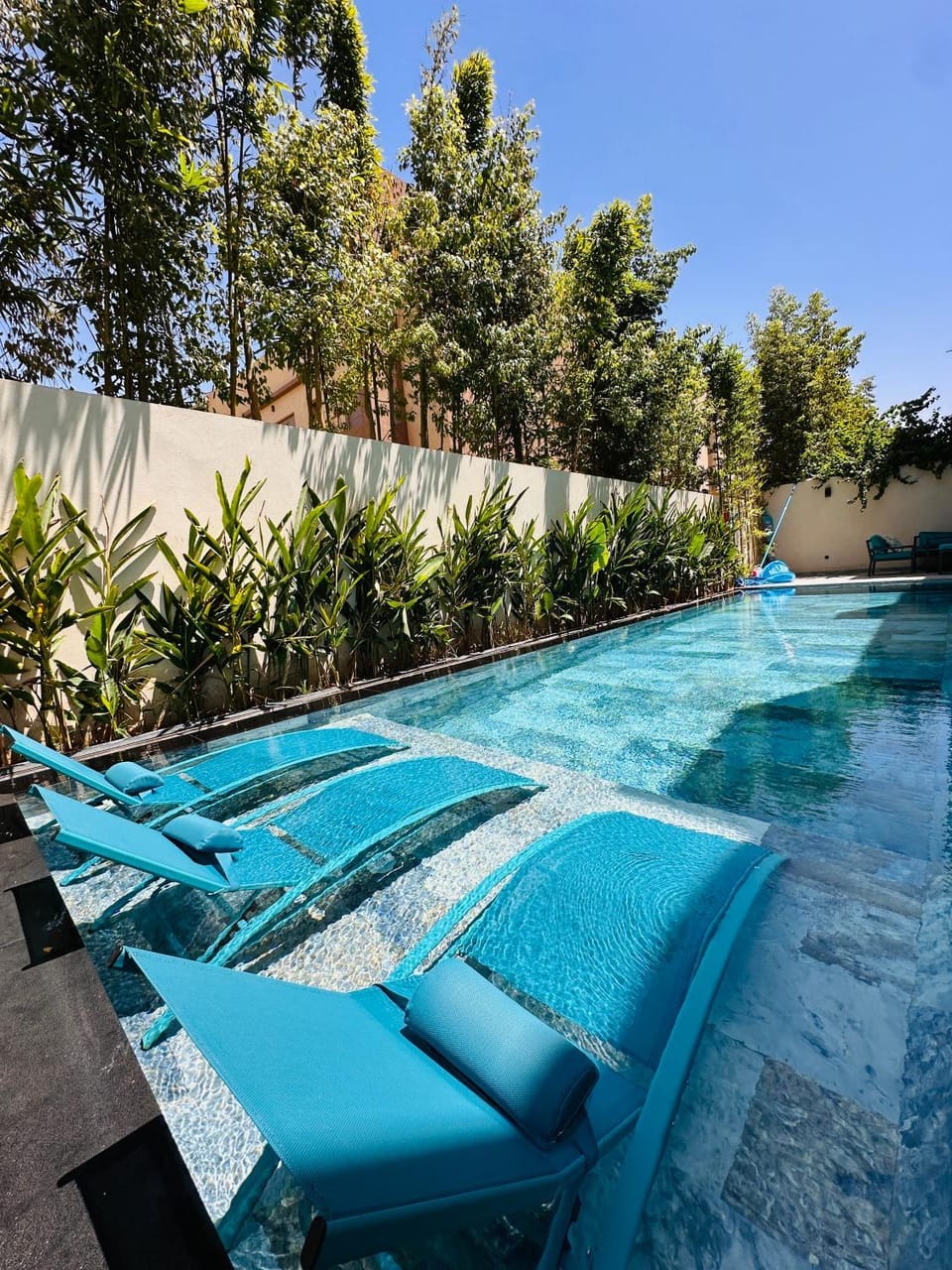 Day, Garden, Pool view, Swimming pool