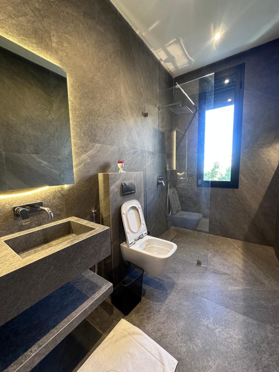 Toilet, Bathroom