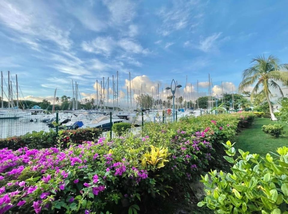Garden, Garden, Garden view, Sea view