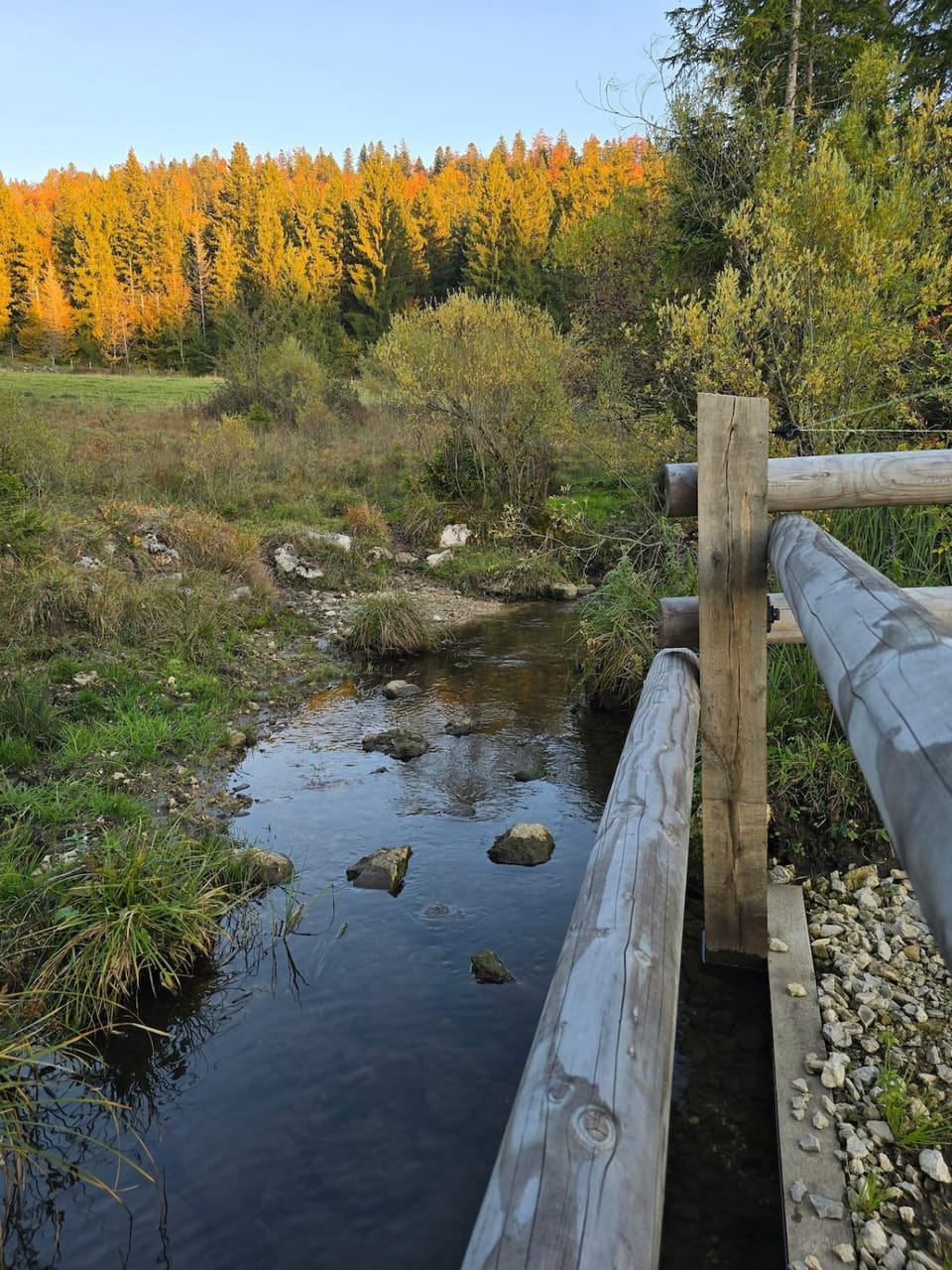Natural landscape, River view