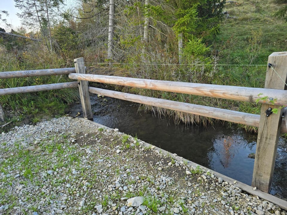 Natural landscape, River view