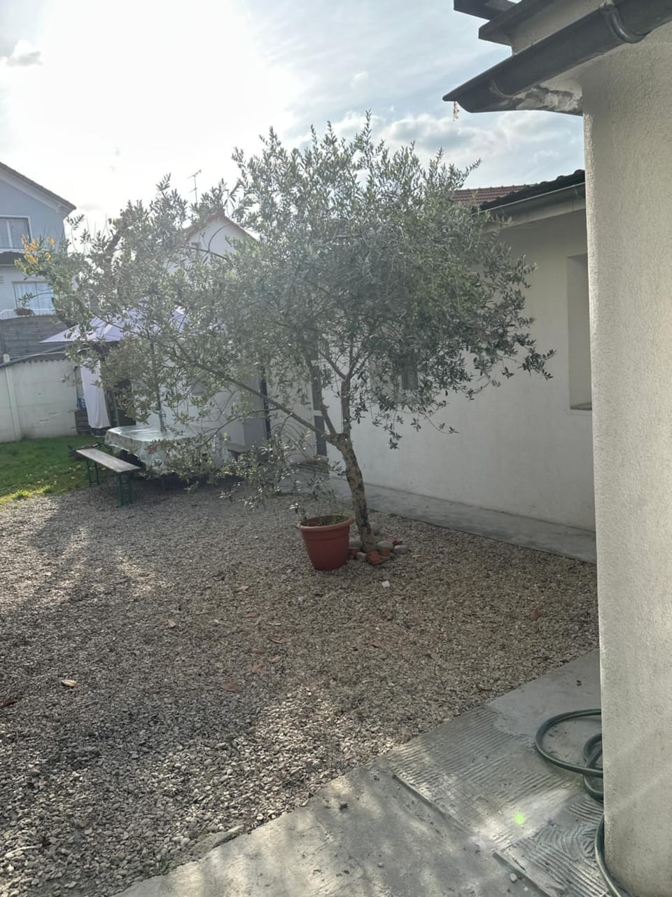 Spring, Day, Garden, Garden view