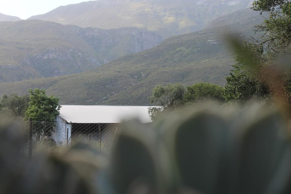 Natural landscape, Mountain view