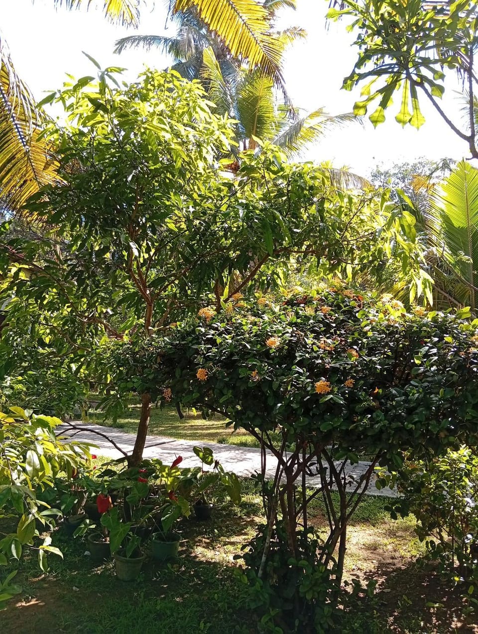 Dream Image Apartment in Southern Province