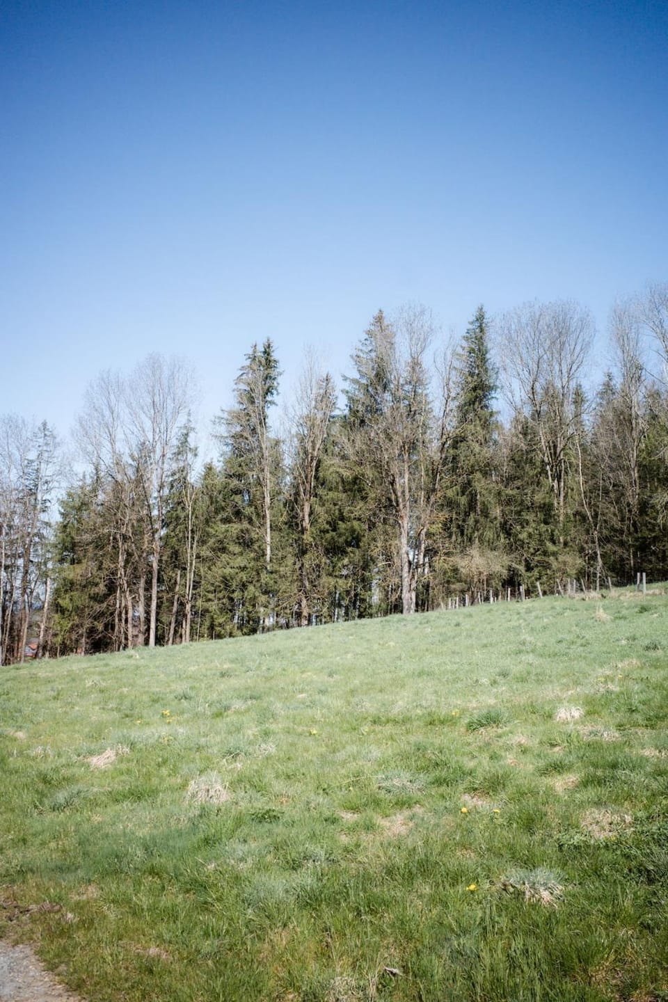Natural landscape