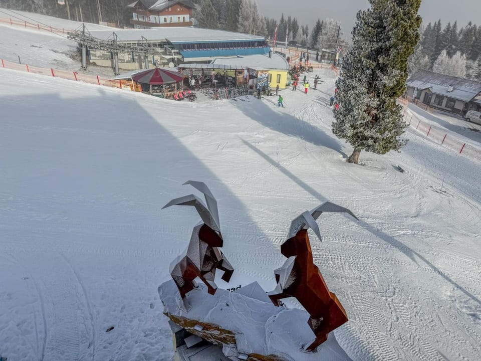 Winter, Area and facilities