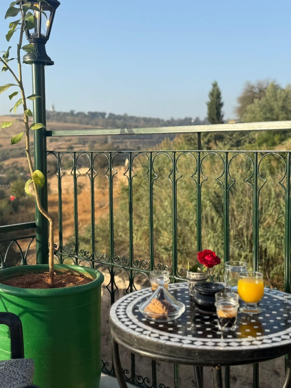 View (from property/room), Balcony/Terrace, Food and drinks