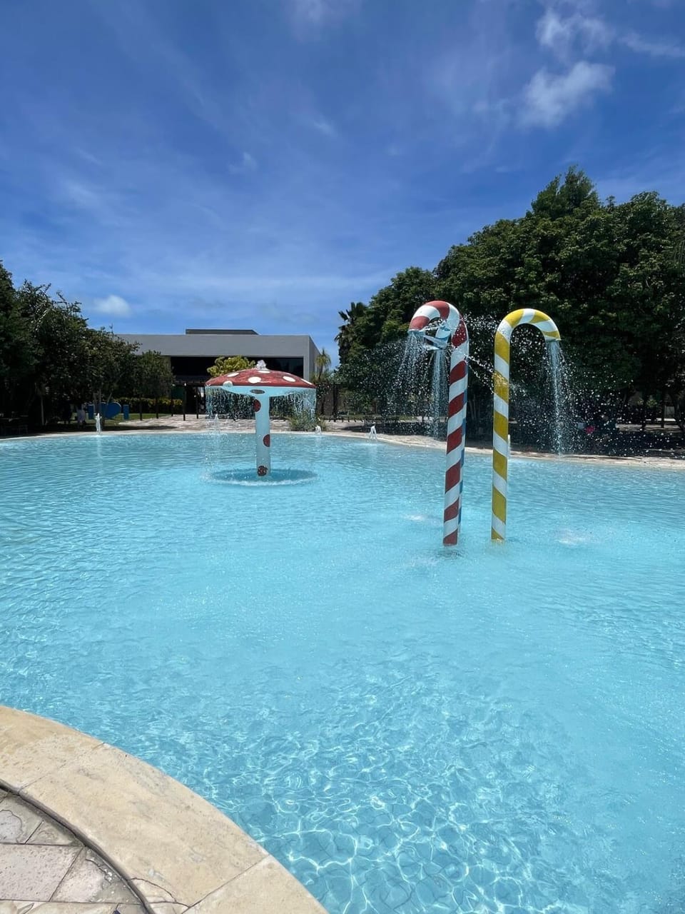 Swimming pool
