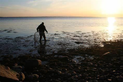 Natural landscape, Beach, River view, Sea view, Sunrise, Sunset