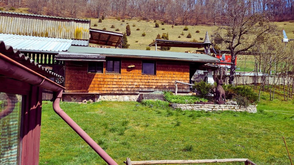 Natural landscape, Garden, Garden view