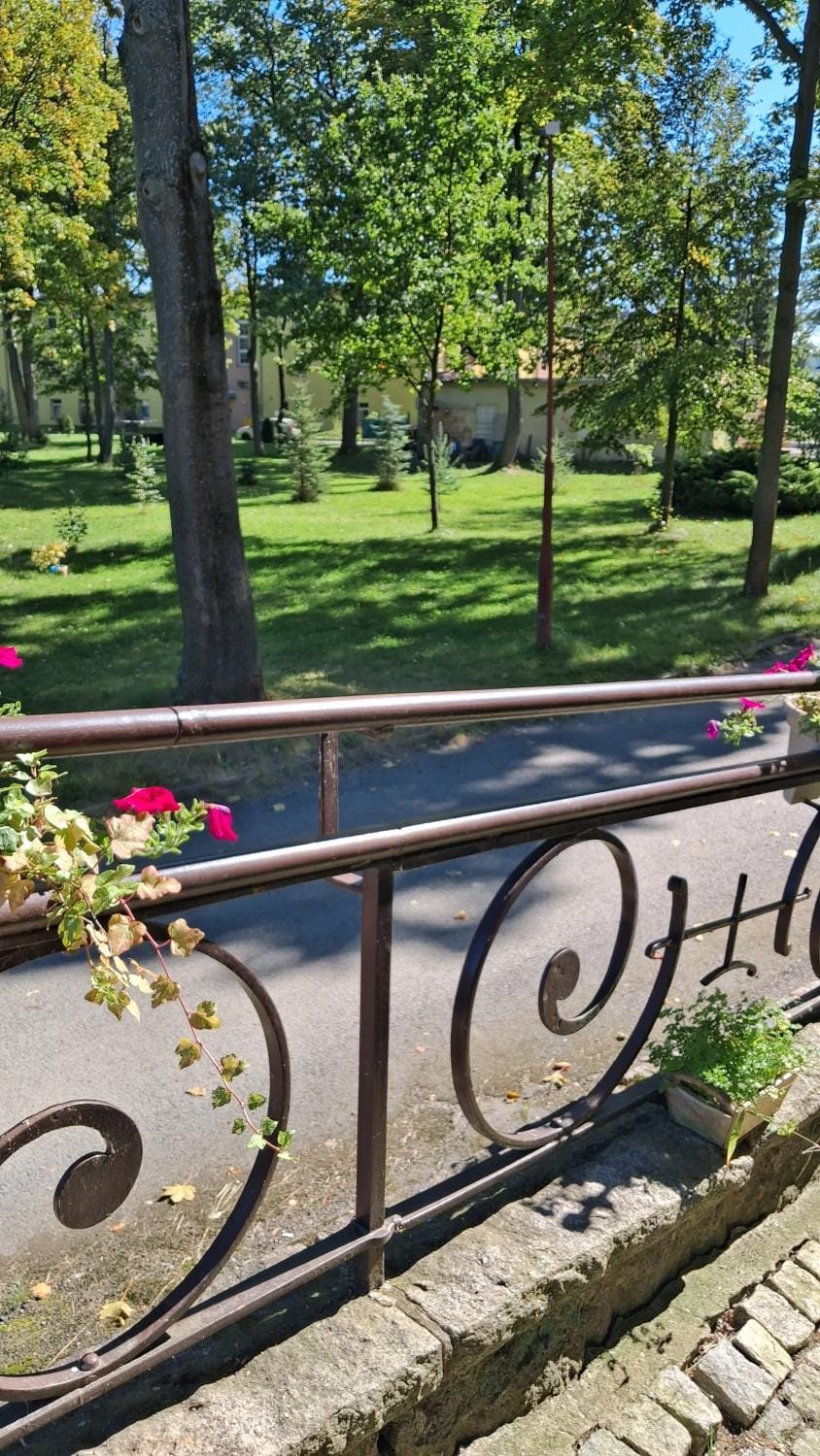 Spring, Day, Natural landscape, Garden, Garden view, Parking