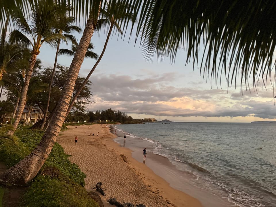 Natural landscape, Beach, Sea view