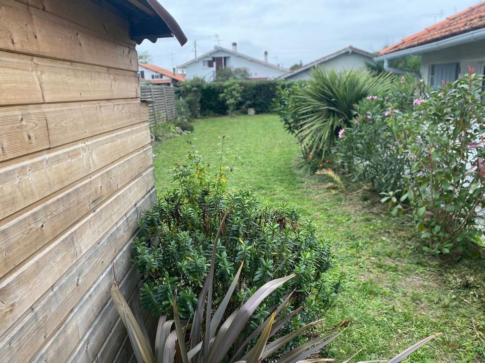 Garden, Garden