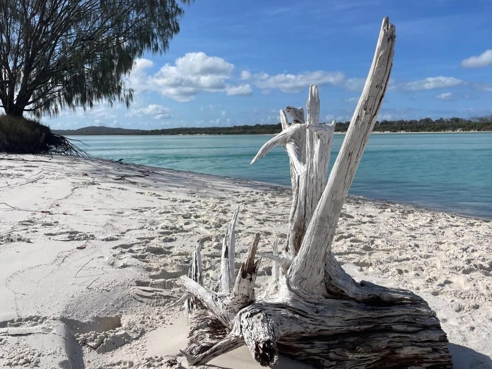 Dig's In The Valley House in Fraser Island