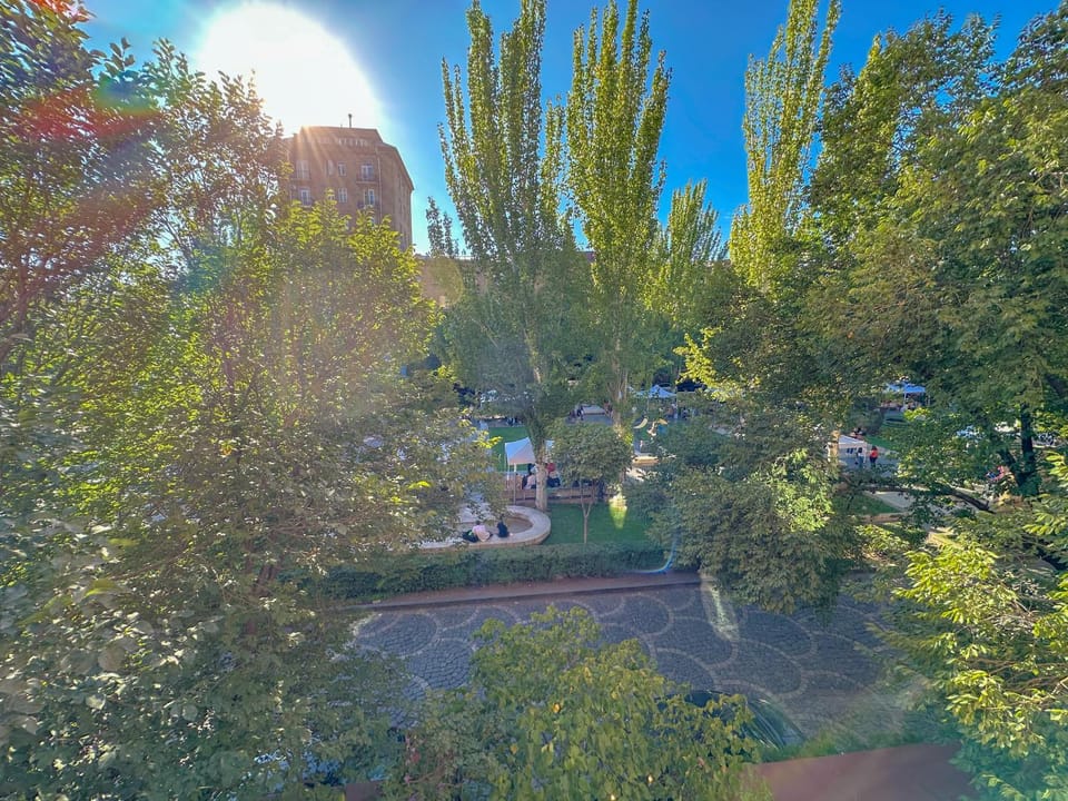Day, Garden, Garden view
