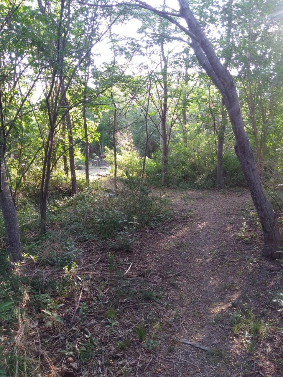 Natural landscape, Garden, Hiking, Garden view