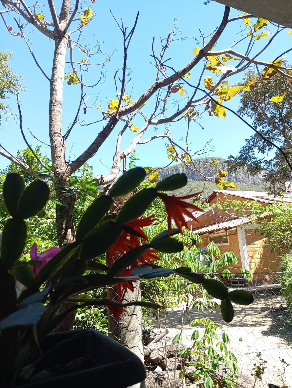 Casa Baunilha House in Cavalcante