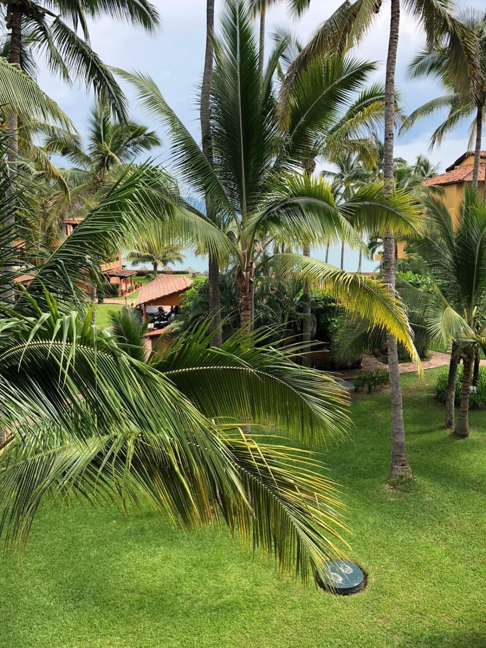 Casa Oma Apartment in Puerto Vallarta