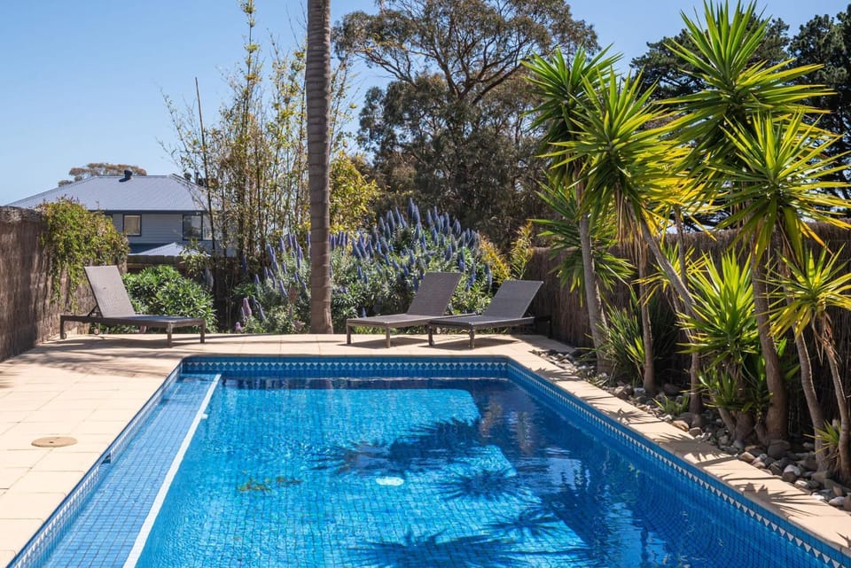 Pool view, Swimming pool, sunbed