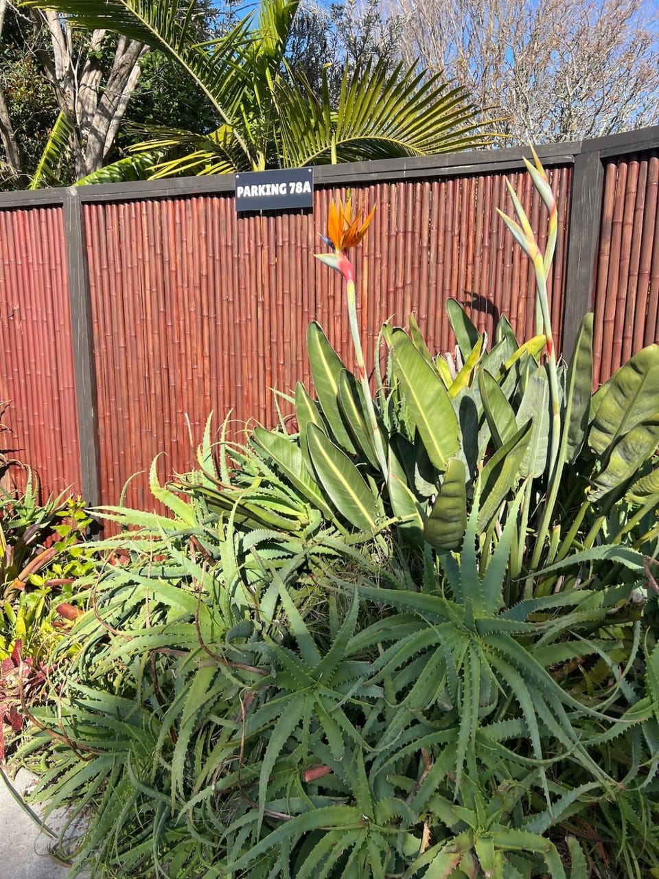 Day, Garden, Parking