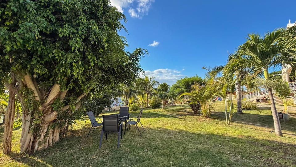 Natural landscape, Garden, Garden view