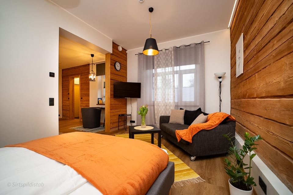 Bed, TV and multimedia, Kitchen or kitchenette, Living room, Photo of the whole room, Seating area, Bedroom