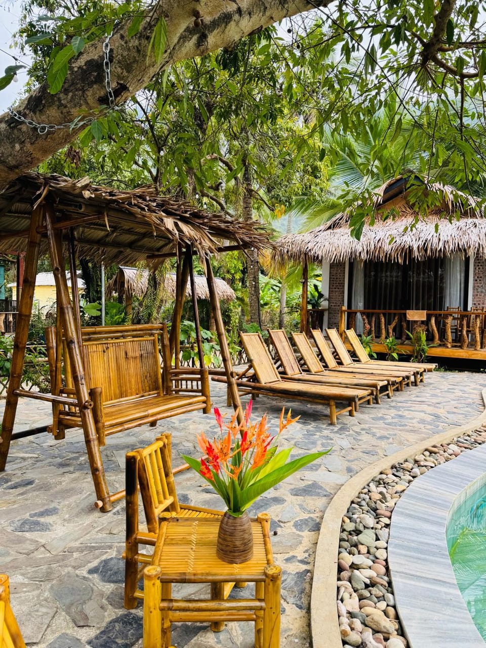 Patio, Day, Natural landscape, Garden, Garden view, Pool view, Swimming pool, sunbed