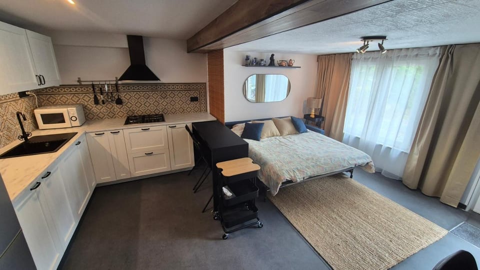 Kitchen or kitchenette, Living room, Dining area, Bedroom