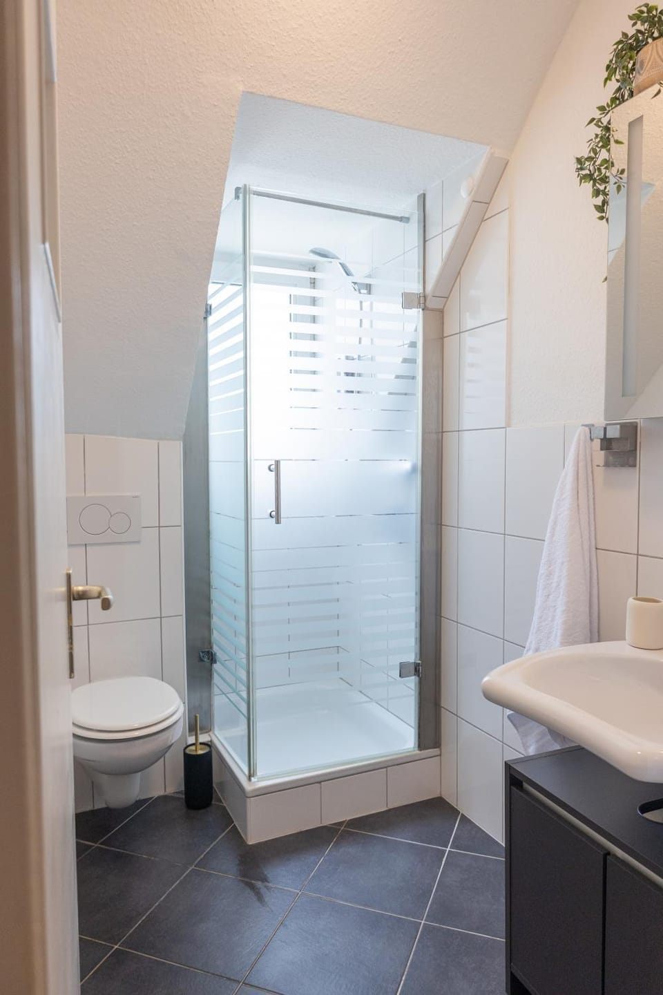 Shower, Toilet, Bathroom, towels