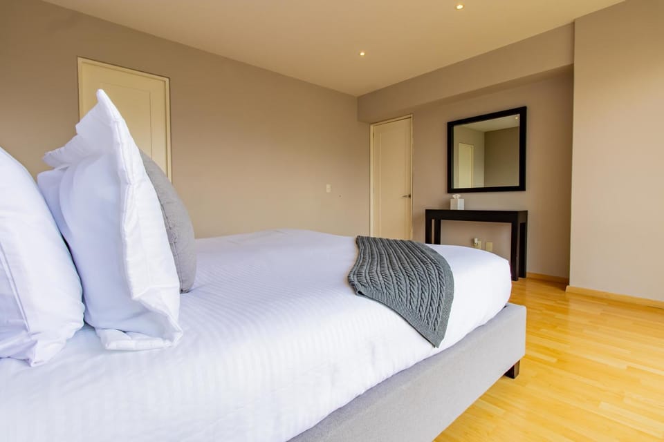 1BR Standard Apartment House in Mexico City