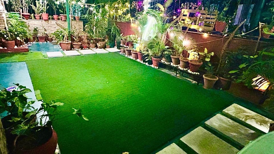 Night, Garden, Garden view