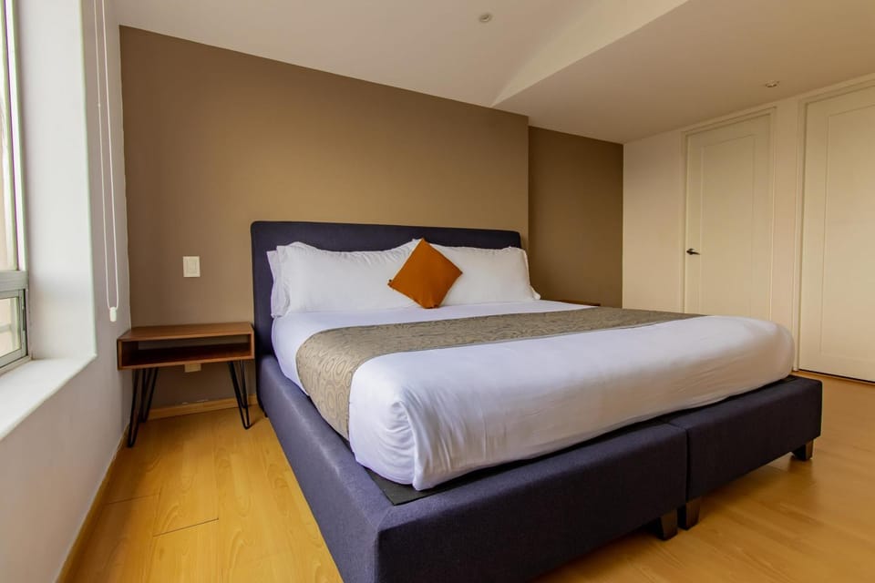 3 BR Premium Apartment House in Mexico City