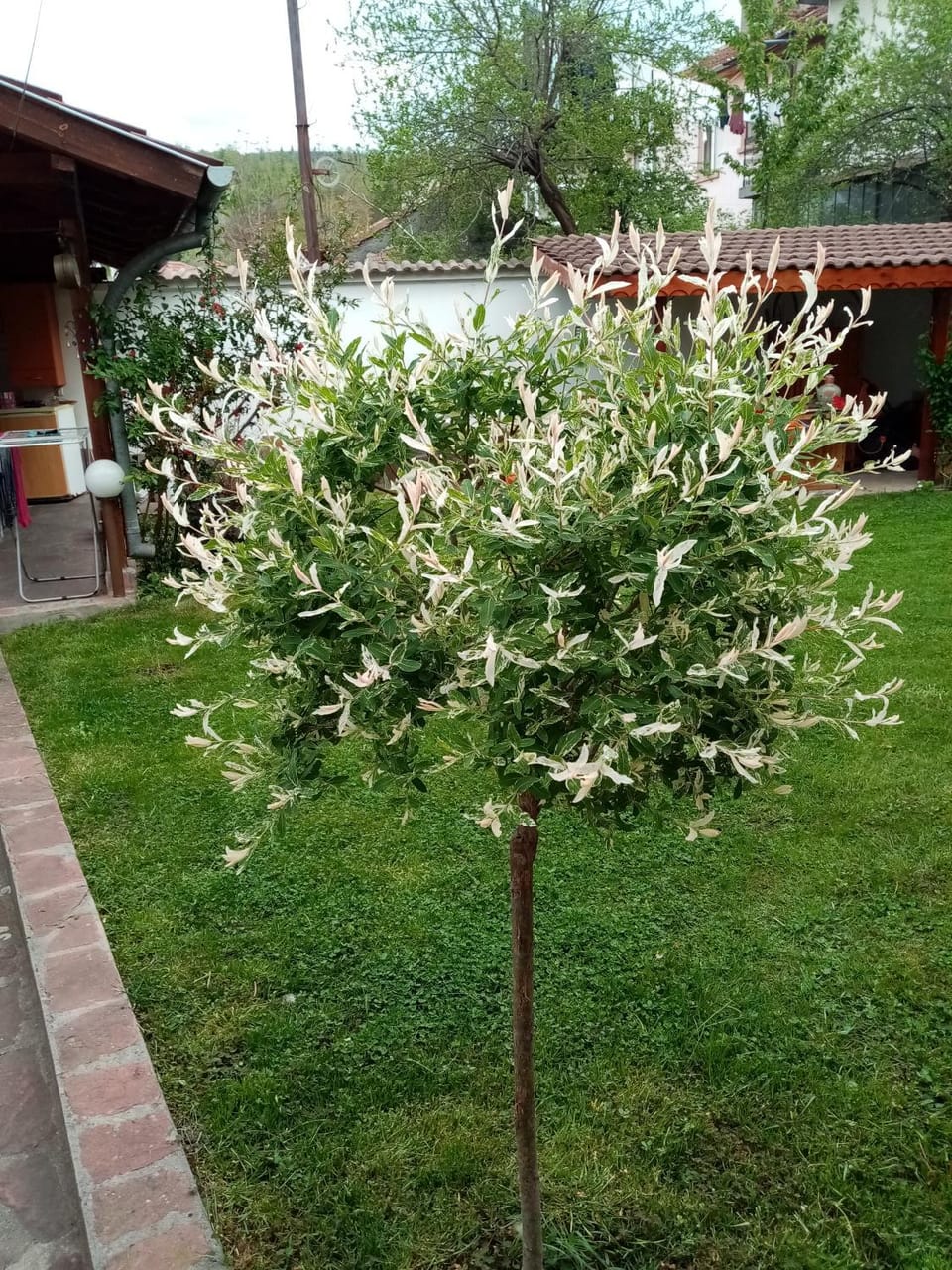 Borova House Bed and Breakfast in Gabrovo, Bulgaria