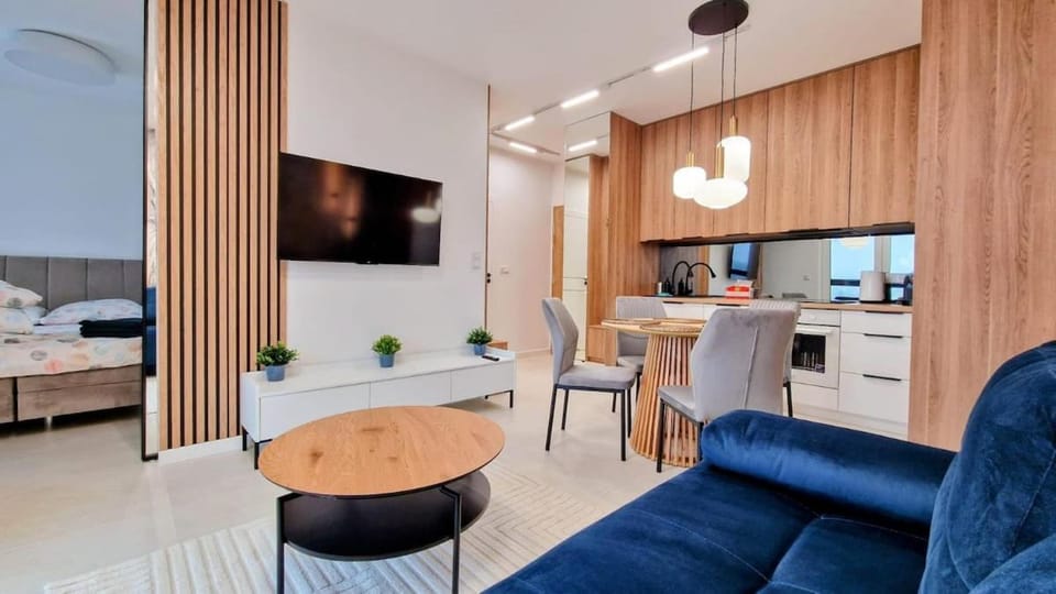 TV and multimedia, Kitchen or kitchenette, Living room, Photo of the whole room, Dining area