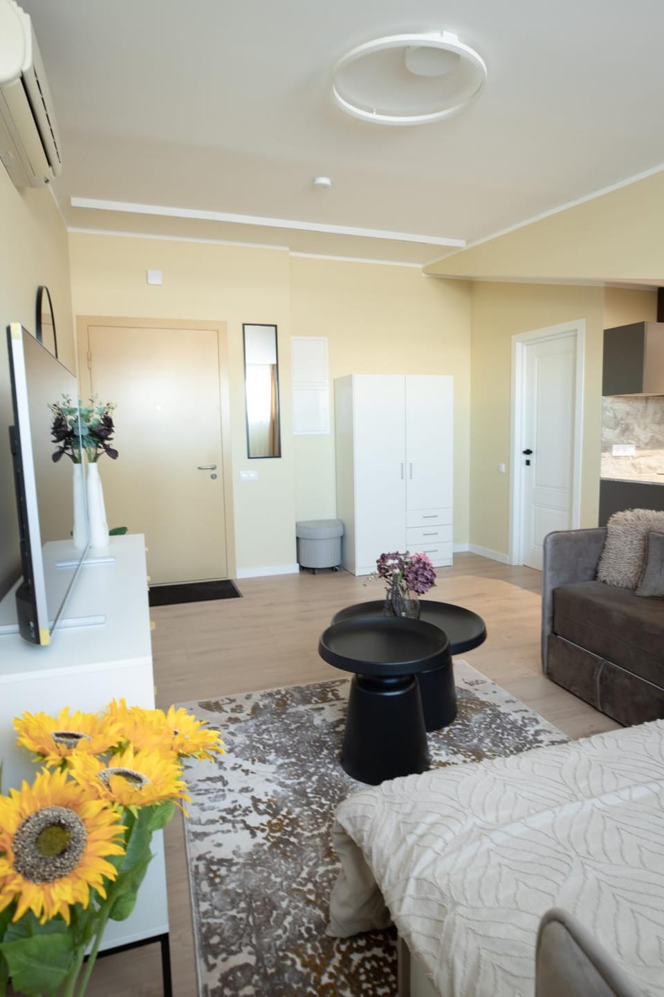 Kitchen or kitchenette, Living room, Photo of the whole room, air conditioner