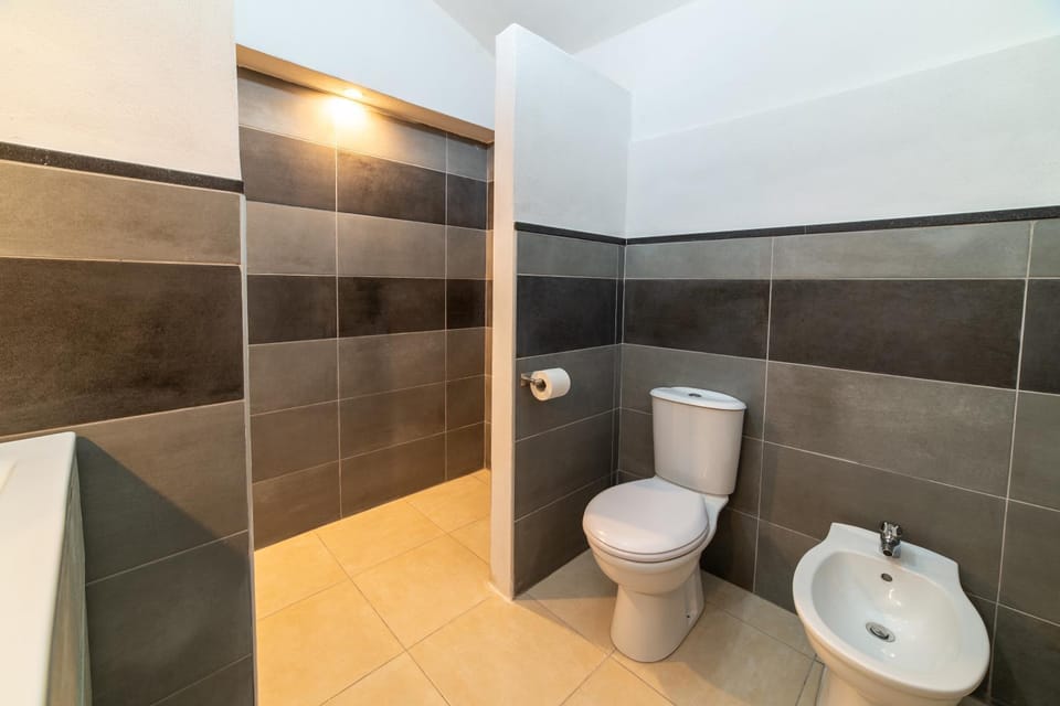 Shower, Toilet, Bathroom, bidet