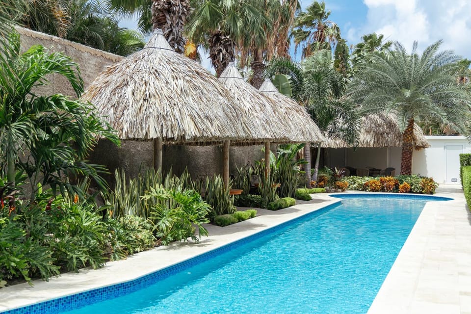 Day, Garden, Garden, Garden view, Pool view, Swimming pool, Swimming pool, sunbed