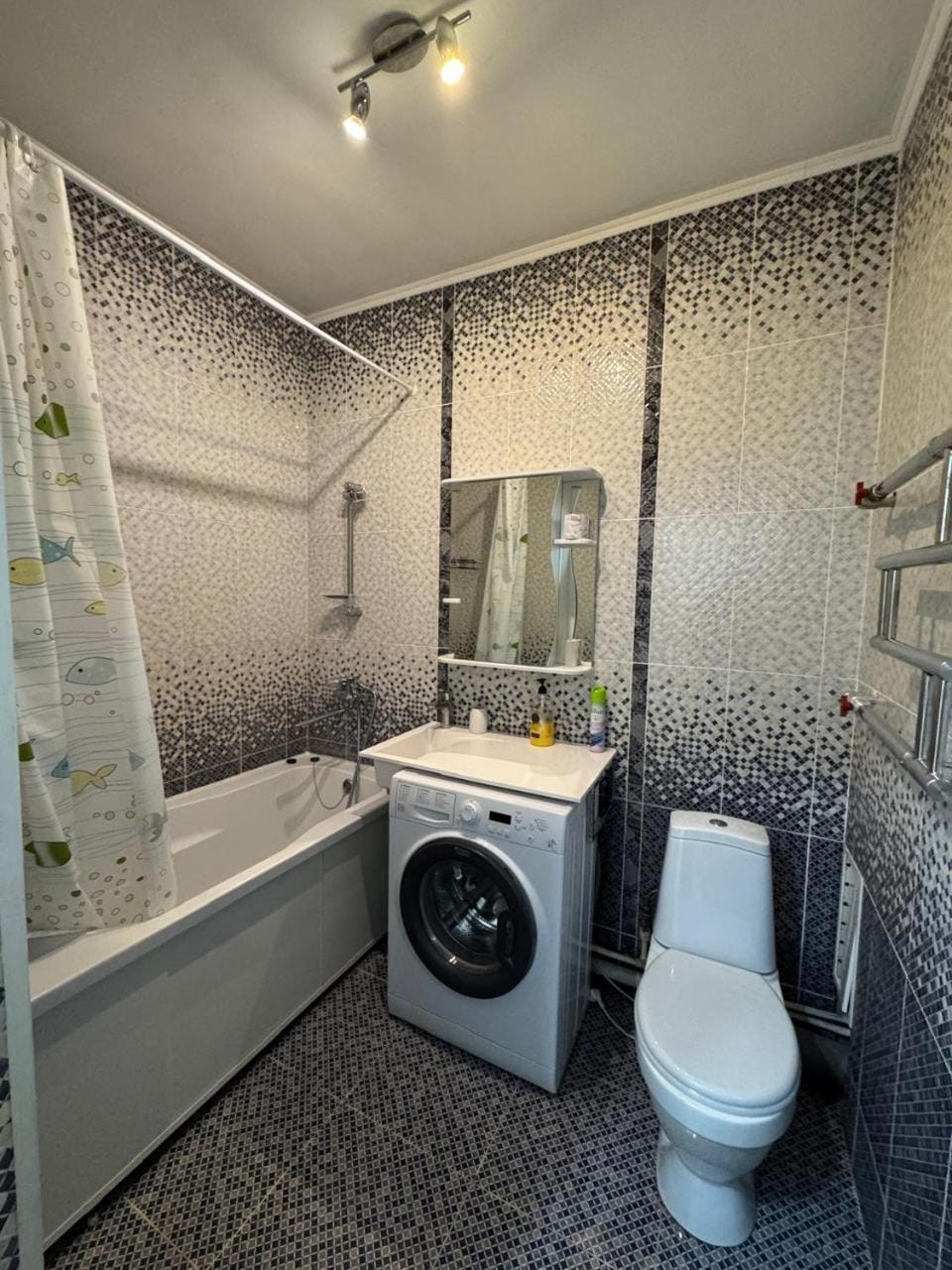 Toilet, Bathroom, Bath, washing machine
