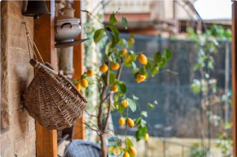 Spring, Garden, Garden view